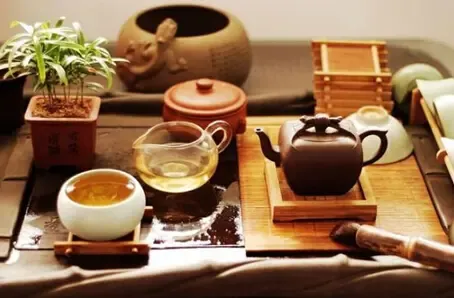 茶疗养生：传统茶饮的保健功效详解