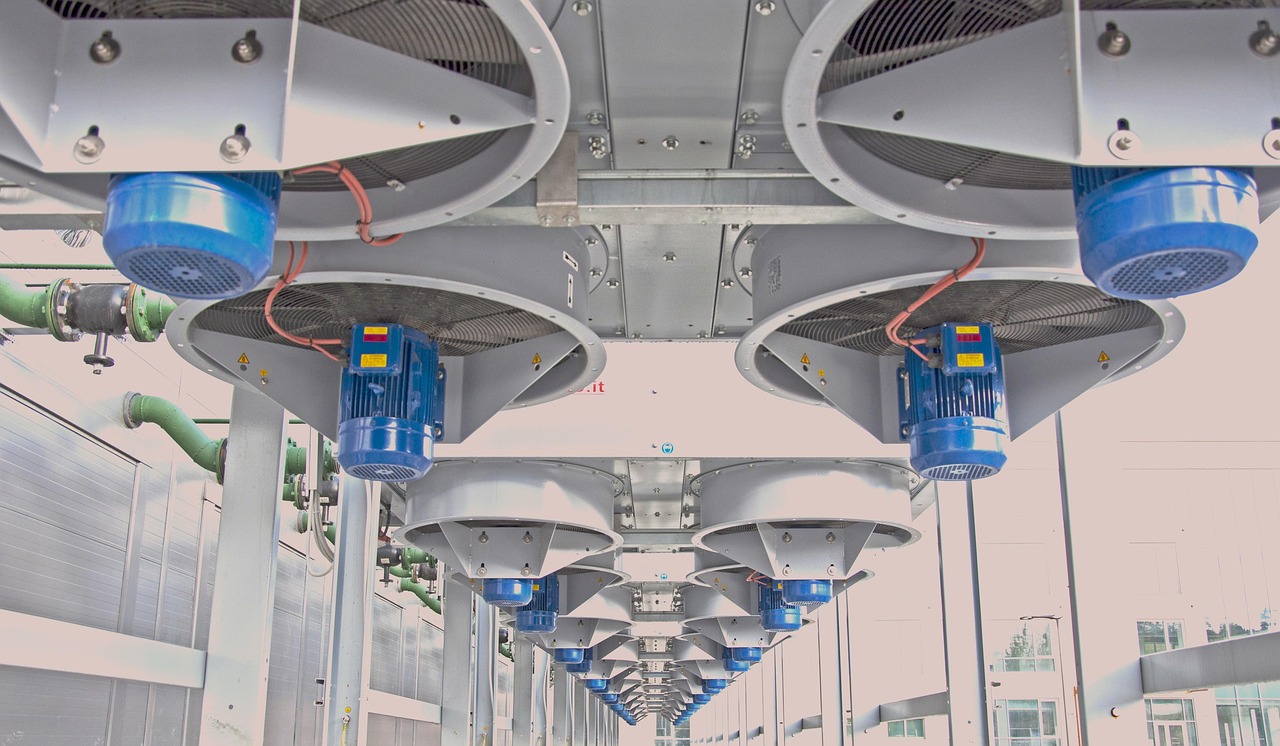 缅甸忠告图七星蓝莓：贵阳农产品商标注册代理