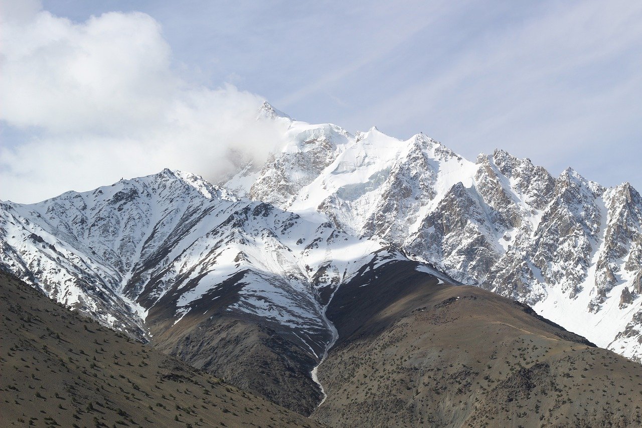 钉钉实名账号：好羊毛app详情下载教程