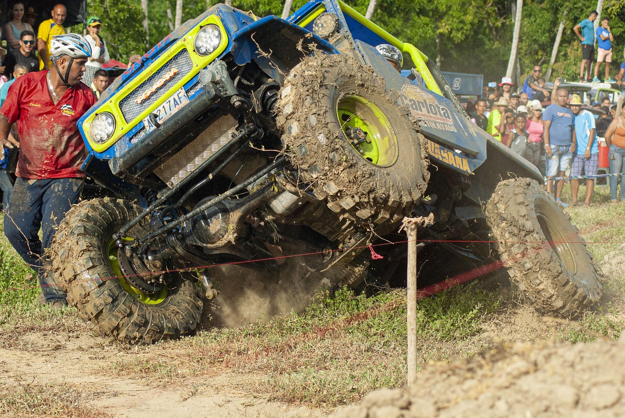 推荐仓鼠购买平台