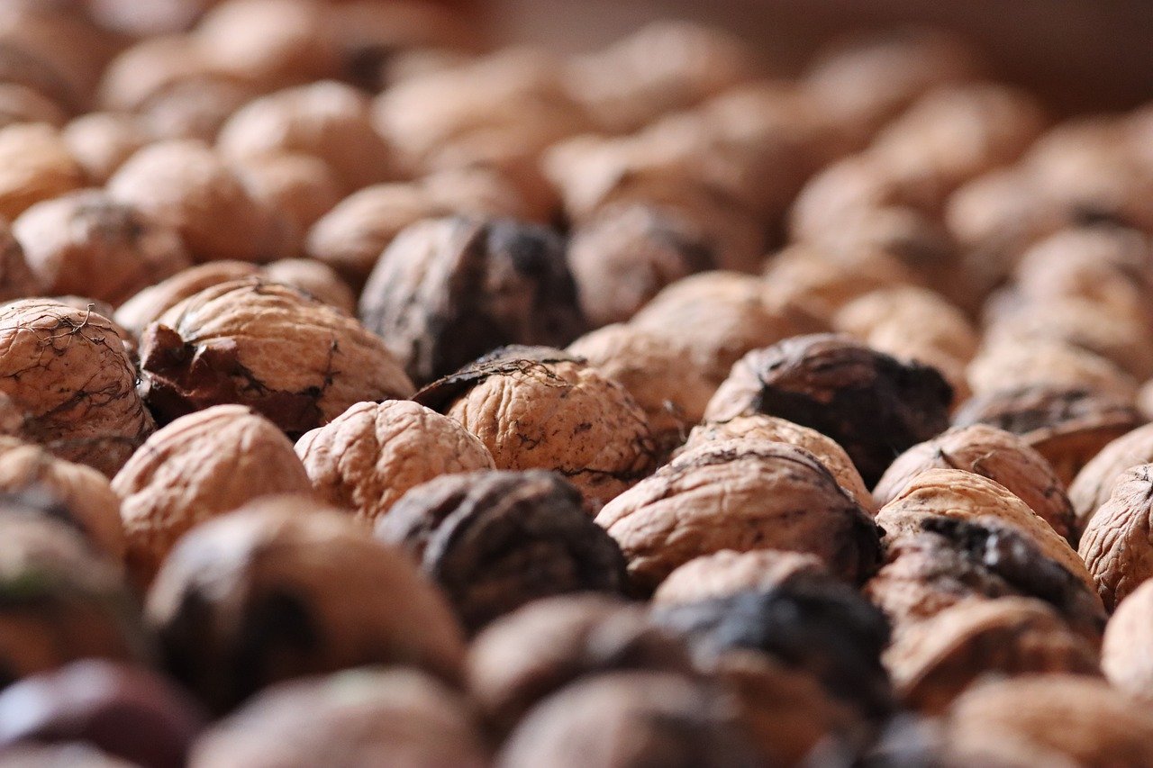 越南555银:广西崇左代理注册