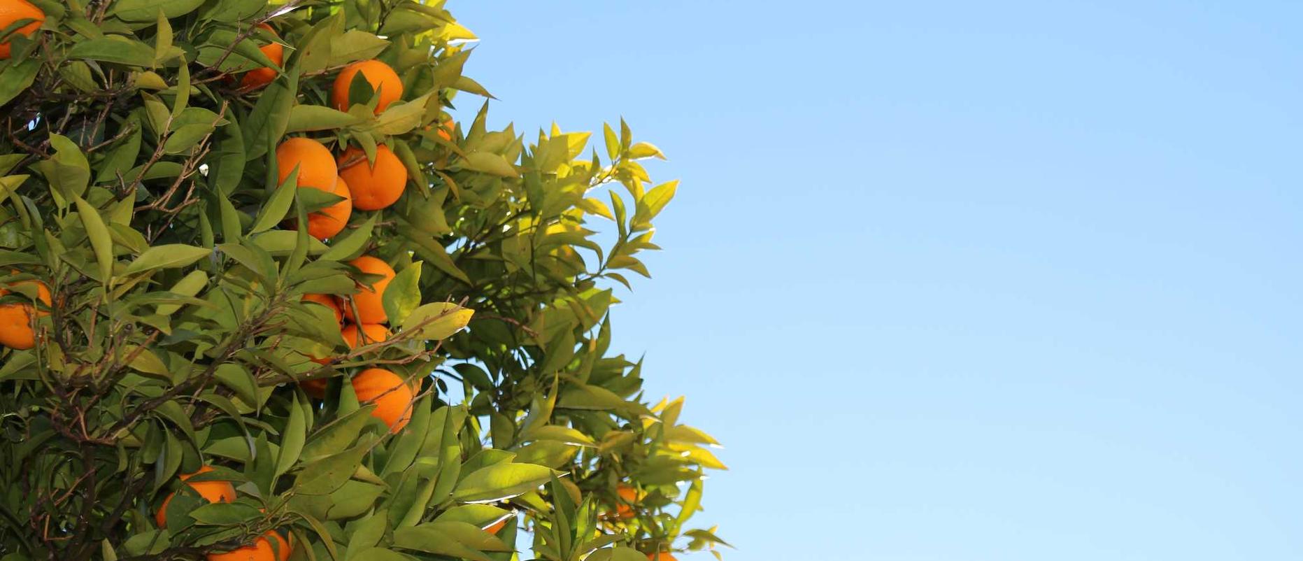 友盟实名账号:qq网页版注册账号