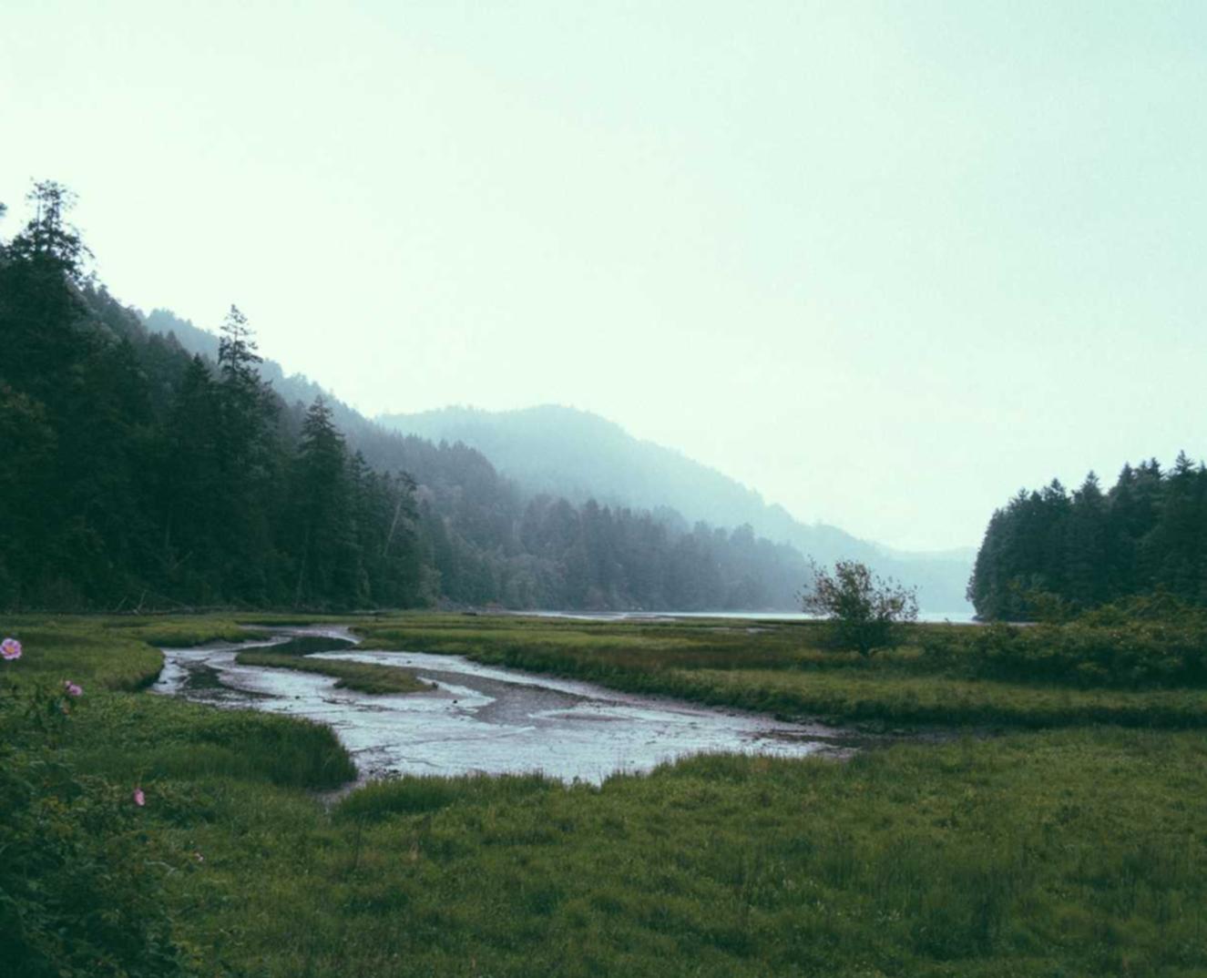 兴庆注册代理记账