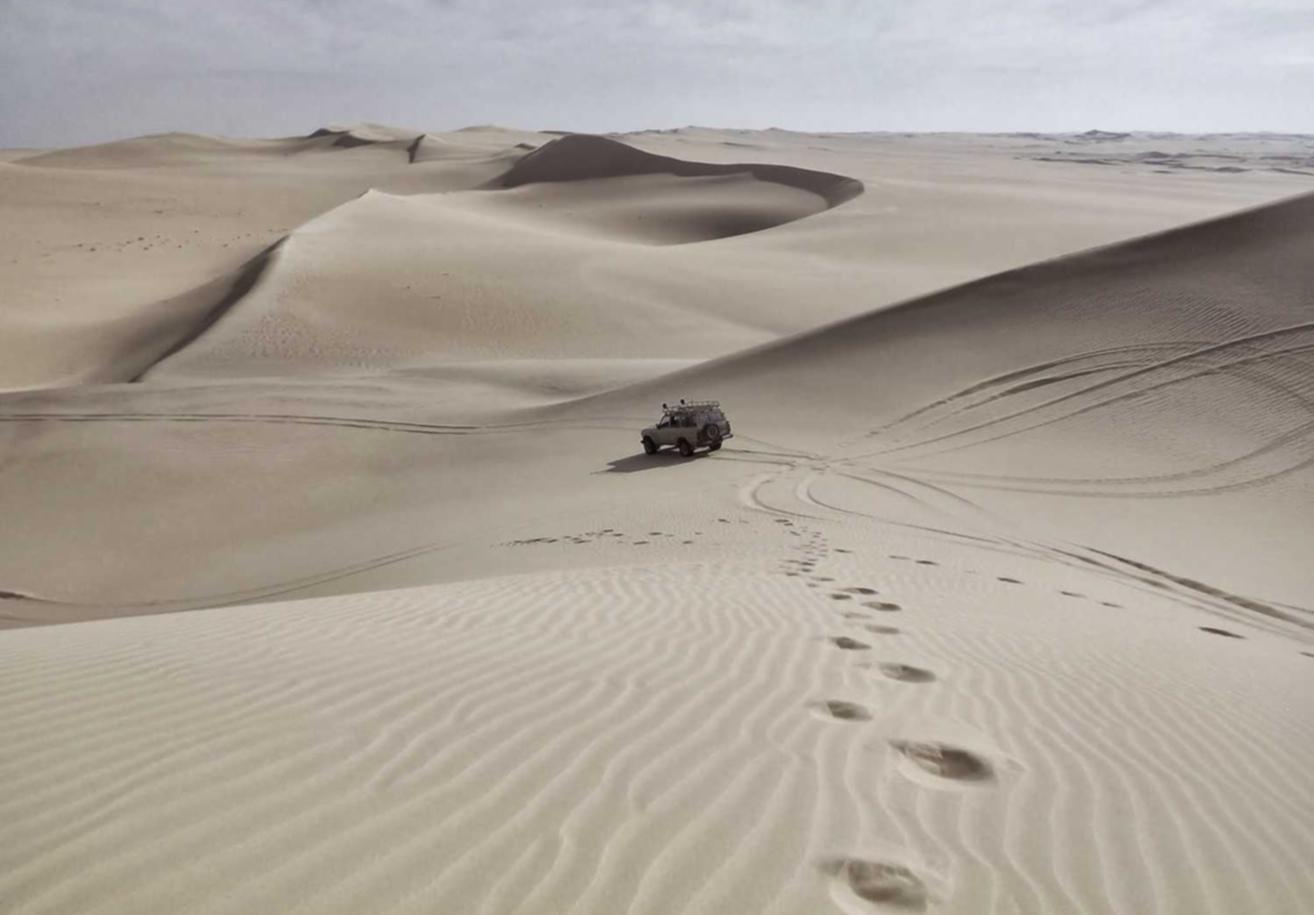 烟草行业的商业策略