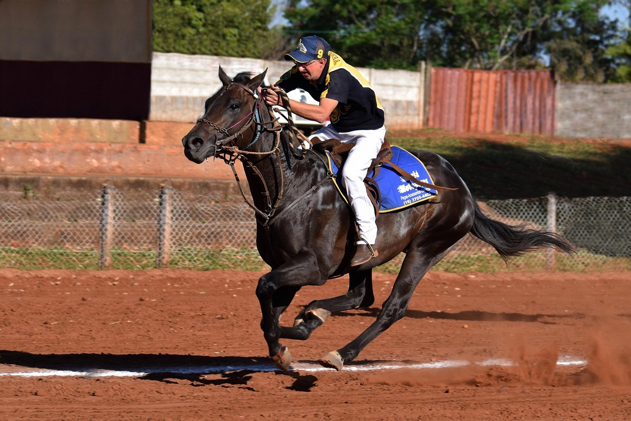 DDOS attack|如何使用密码生成器来创建安全密码？