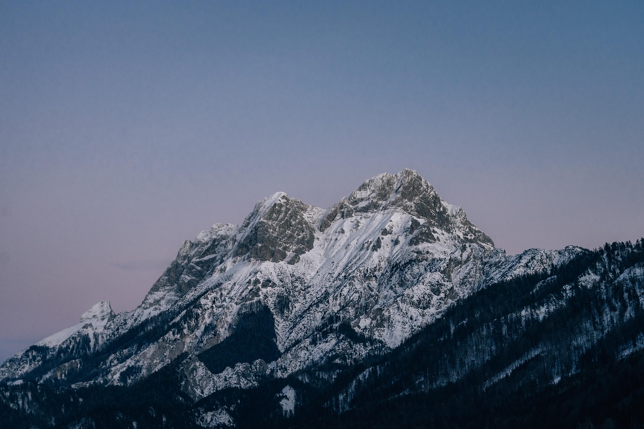 暗黑破坏神不朽（国际服）：大丰区工商注册代理记账