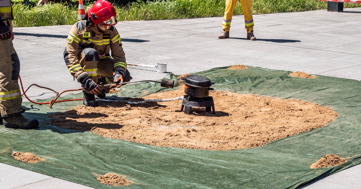 论文查重免费代理平台推荐