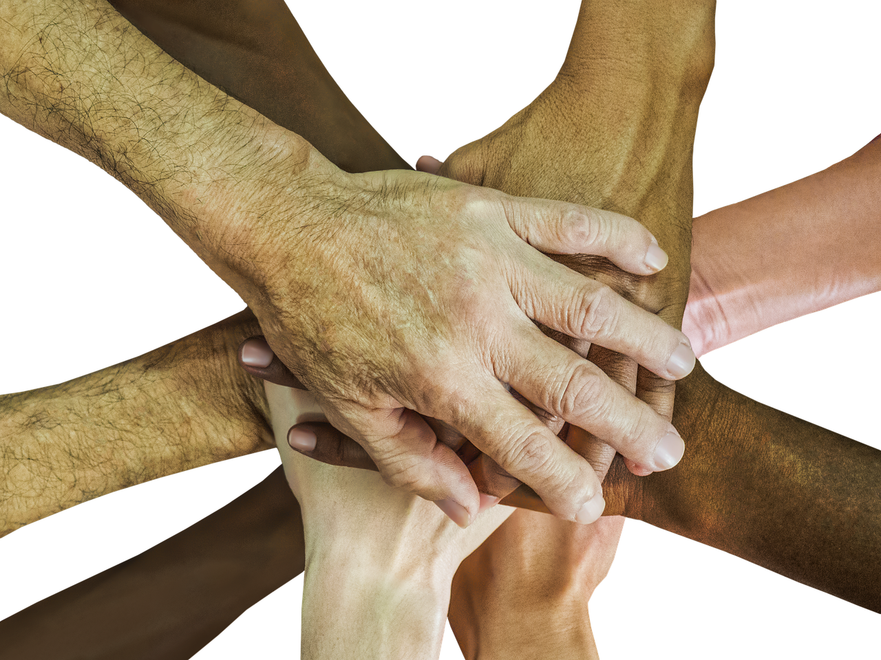 全民平台app详情下载教程