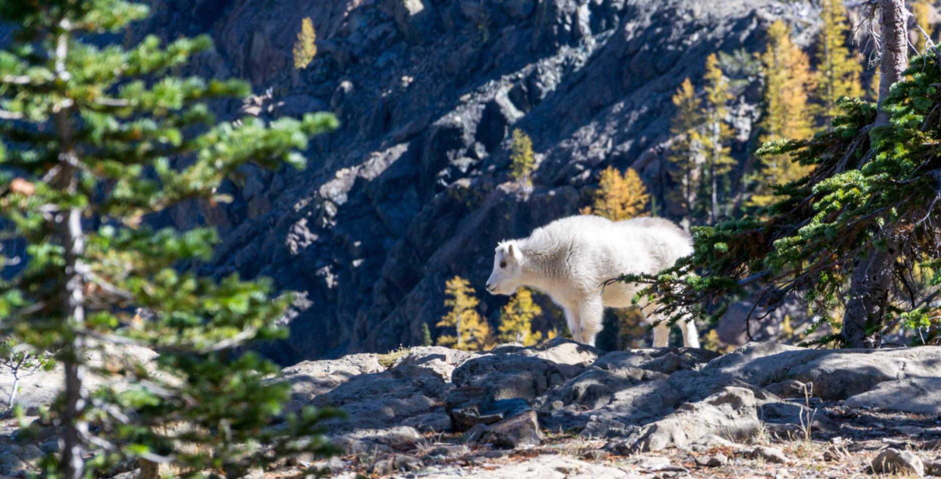 VX账号买卖：钱盒app详情下载教程安装