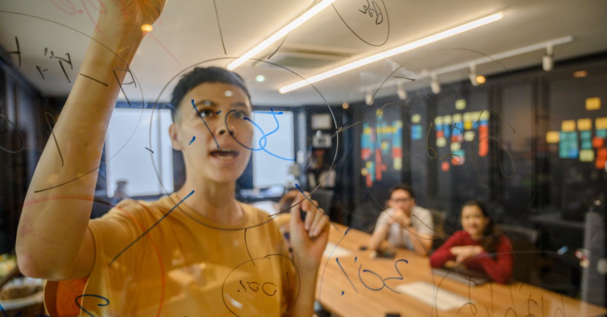 猫之城：凤凰平台在线开户